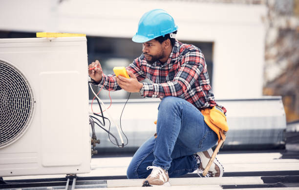 Best Generator Installation Services  in Bellview, FL
