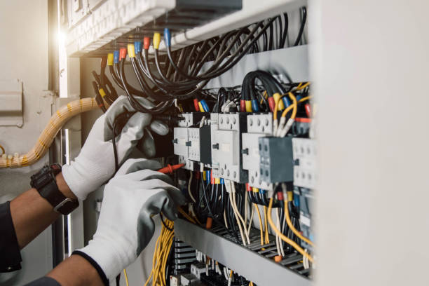 Best Licensed Electrician  in Bellview, FL